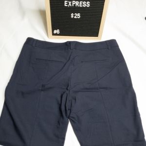 Express Columnist Dress Pants